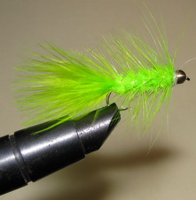 ���� Woolly Bugger  chartreuse � 6
